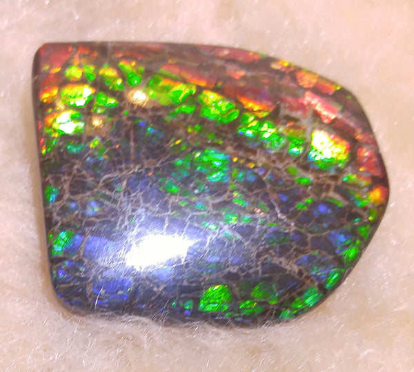 34 mm x 29 mm Natural Free Form - FFN 14 - フリーフォーム　ナチュラルポーリッシュ