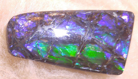 35 mm x 17mm Natural Free Form - FFN 31 - フリーフォーム　ナチュラルポーリッシュ