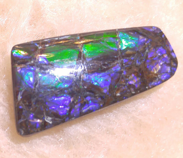 35 mm x 17mm Natural Free Form - FFN 31 - フリーフォーム　ナチュラルポーリッシュ