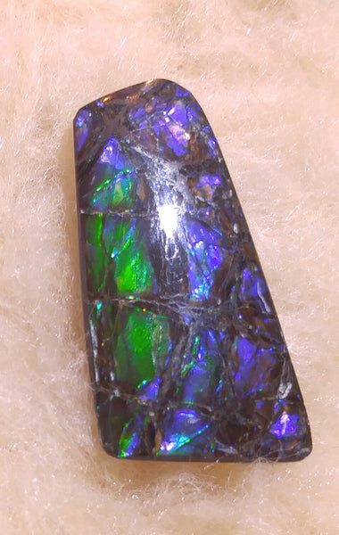 35 mm x 17mm Natural Free Form - FFN 31 - フリーフォーム　ナチュラルポーリッシュ