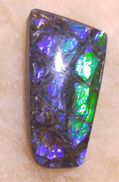 35 mm x 17mm Natural Free Form - FFN 31 - フリーフォーム　ナチュラルポーリッシュ