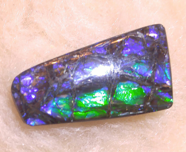 35 mm x 17mm Natural Free Form - FFN 31 - フリーフォーム　ナチュラルポーリッシュ