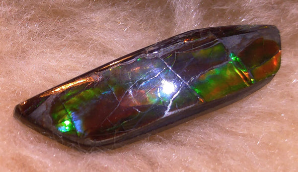 40 x 10 mm Natural Free Form - FFN 35 - フリーフォーム　ナチュラルポーリッシュ