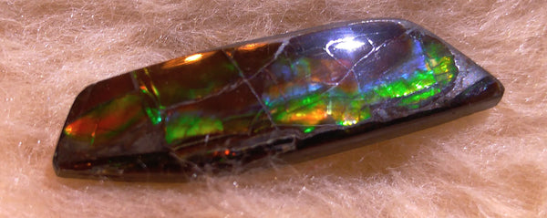 40 x 10 mm Natural Free Form - FFN 35 - フリーフォーム　ナチュラルポーリッシュ