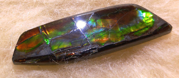 40 x 10 mm Natural Free Form - FFN 35 - フリーフォーム　ナチュラルポーリッシュ