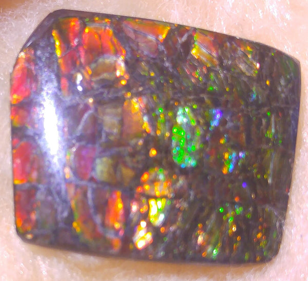 25 x 21 mm Natural Free Form - FFN 47 - フリーフォーム　ナチュラルポーリッシュ