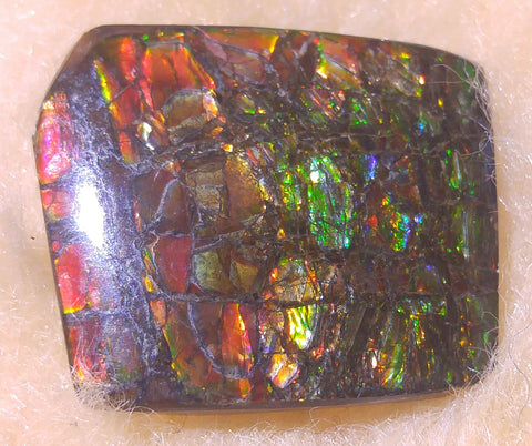 25 x 21 mm Natural Free Form - FFN 47 - フリーフォーム　ナチュラルポーリッシュ