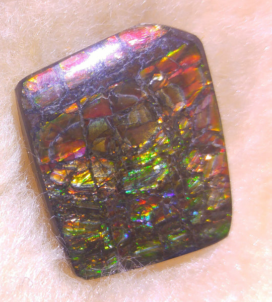 25 x 21 mm Natural Free Form - FFN 47 - フリーフォーム　ナチュラルポーリッシュ