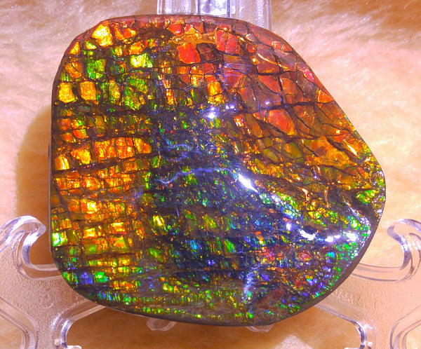 70 x 62 mm - Collector Stone - CS-30  風水  鑑賞　コレクター　ドラゴンスキン　アンモライト Ammolite
