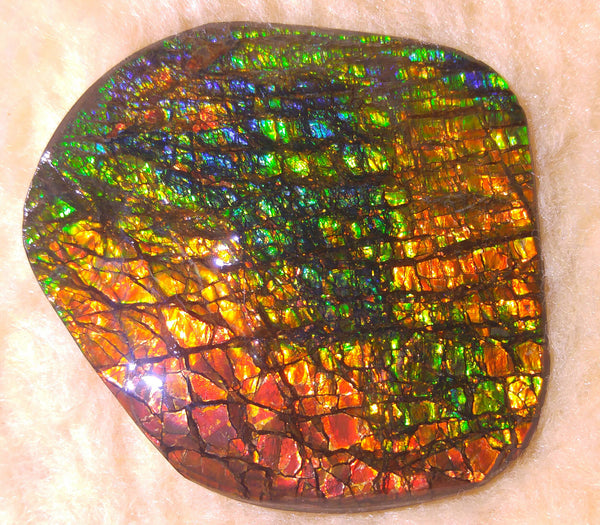 70 x 62 mm - Collector Stone - CS-30  風水  鑑賞　コレクター　ドラゴンスキン　アンモライト Ammolite