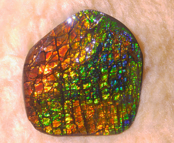 アンモライト Resin Top 70 x 50 x 15 mm, 76 g
