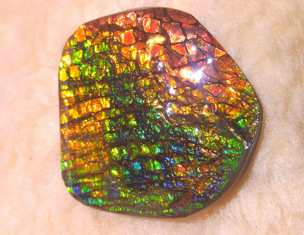 70 x 62 mm - Collector Stone - CS-30  風水  鑑賞　コレクター　ドラゴンスキン　アンモライト Ammolite