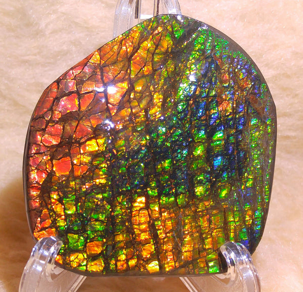 70 x 62 mm - Collector Stone - CS-30  風水  鑑賞　コレクター　ドラゴンスキン　アンモライト Ammolite