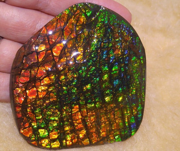 70 x 62 mm - Collector Stone - CS-30  風水  鑑賞　コレクター　ドラゴンスキン　アンモライト Ammolite