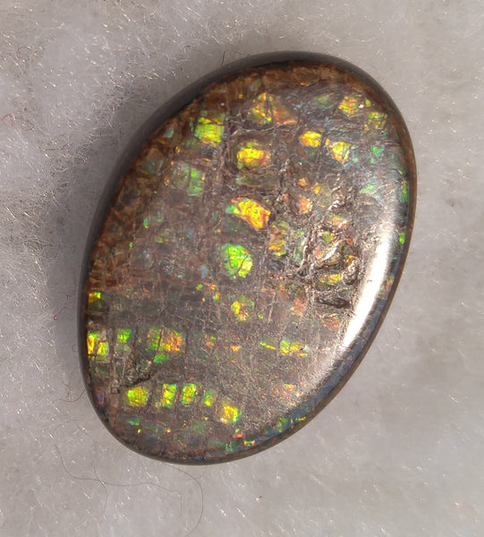 23 x 16 mm Natural Free Form - FFN 66 Ammolite　レインボーカラー発色　ナチュラル　ルース　アンモライト