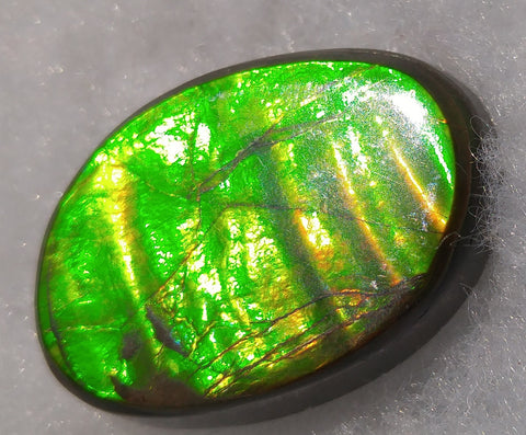 23 x 16 mm Natural Free Form - FFN 66 Ammolite　レインボーカラー発色　ナチュラル　ルース　アンモライト