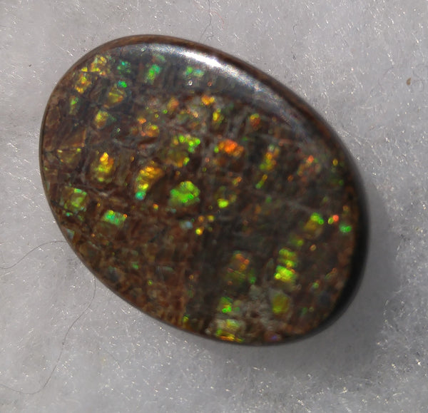 23 x 16 mm Natural Free Form - FFN 66 Ammolite　レインボーカラー発色　ナチュラル　ルース　アンモライト