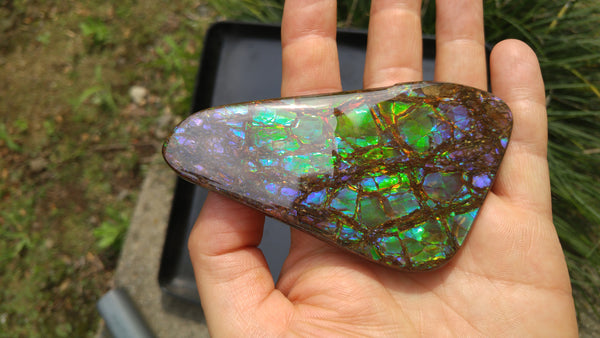 115 x 62 mm - Collector Stone - CS-39 風水  コレクターピース　