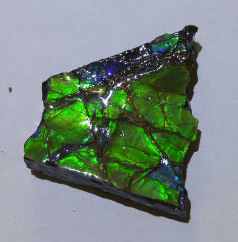 38 x 35 mm - KR-02   アンモライト　原石　ピース　KORITE