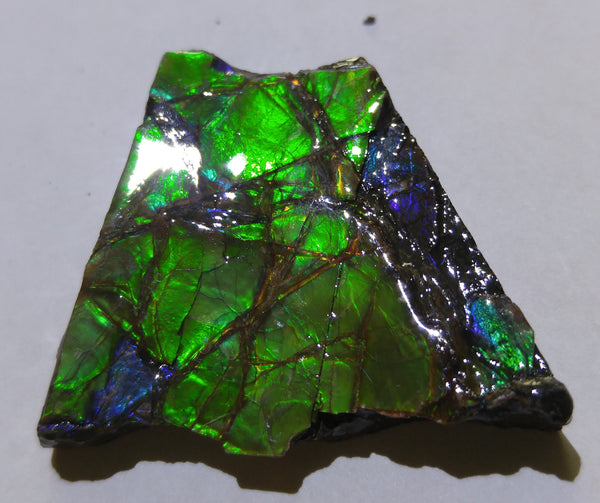 38 x 35 mm - KR-02   アンモライト　原石　ピース　KORITE