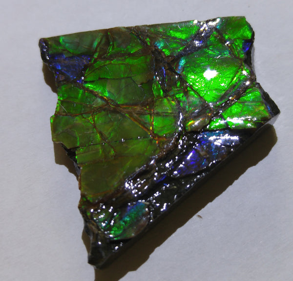 38 x 35 mm - KR-02   アンモライト　原石　ピース　KORITE