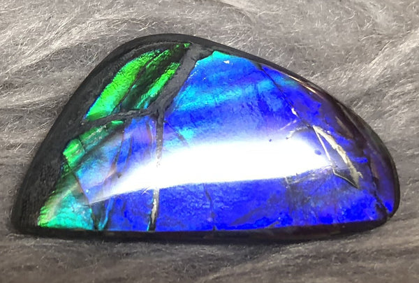 30 x 17 mm  Natural  Free Form . FFN 336 Ammolite  ナチュラル　ルース　アンモライト フリーフォーム