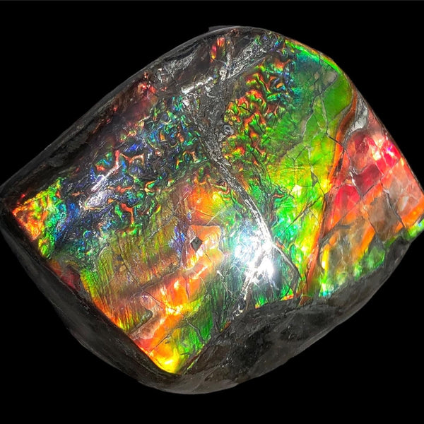 Make an offer or buy it now! 3.15”/  80x 62mm Top Grade Double-Sided Handheld Gem Specimen, Natural Freeform. FFNT 180 Ammolite  Free Shipping! ナチュラル　ルース　アンモライト 値下げ交渉！FREE SHIPPING!