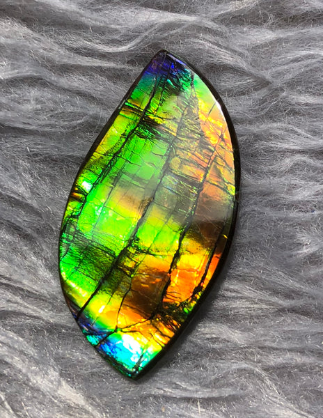 39  x 20 mm  Natural Large  Free Form . FFN 330 Ammolite  ナチュラル　ルース　アンモライト フリーフォーム