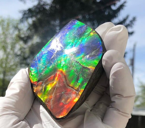 Make an offer or buy it now! 3.15”/  80x 62mm Top Grade Double-Sided Handheld Gem Specimen, Natural Freeform. FFNT 180 Ammolite  Free Shipping! ナチュラル　ルース　アンモライト 値下げ交渉！FREE SHIPPING!