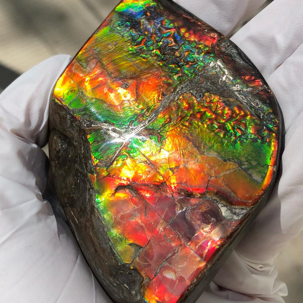Make an offer or buy it now! 3.15”/  80x 62mm Top Grade Double-Sided Handheld Gem Specimen, Natural Freeform. FFNT 180 Ammolite  Free Shipping! ナチュラル　ルース　アンモライト 値下げ交渉！FREE SHIPPING!