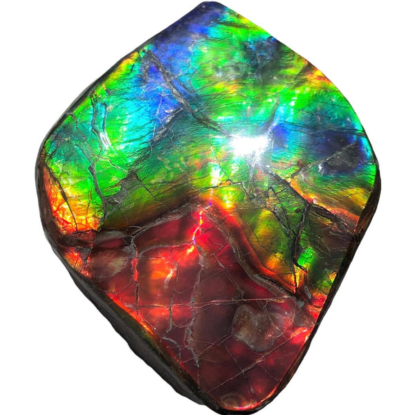 Make an offer or buy it now! 3.15”/  80x 62mm Top Grade Double-Sided Handheld Gem Specimen, Natural Freeform. FFNT 180 Ammolite  Free Shipping! ナチュラル　ルース　アンモライト 値下げ交渉！FREE SHIPPING!