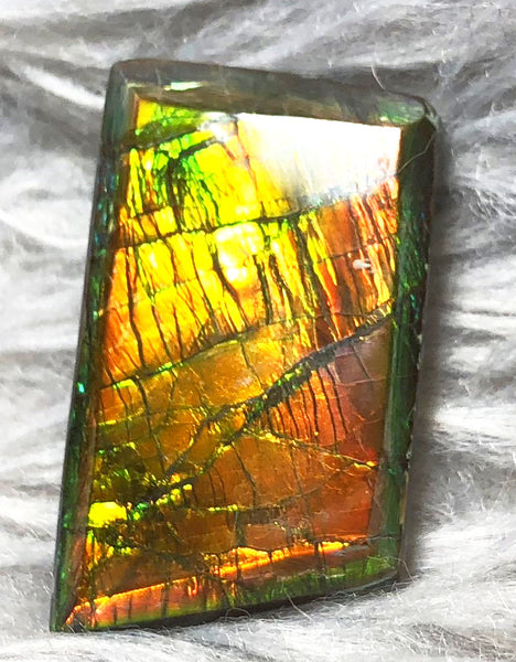 30 x 18 mm  Natural  Free Form . FFN 333 Ammolite  ナチュラル　ルース　アンモライト フリーフォーム