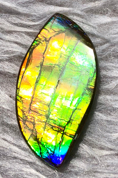 39  x 20 mm  Natural Large  Free Form . FFN 330 Ammolite  ナチュラル　ルース　アンモライト フリーフォーム