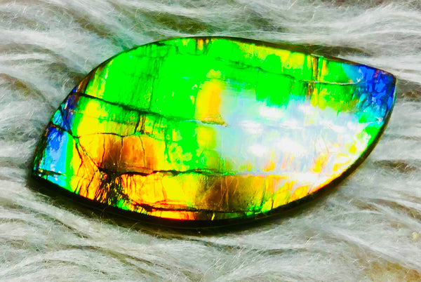 39  x 20 mm  Natural Large  Free Form . FFN 330 Ammolite  ナチュラル　ルース　アンモライト フリーフォーム