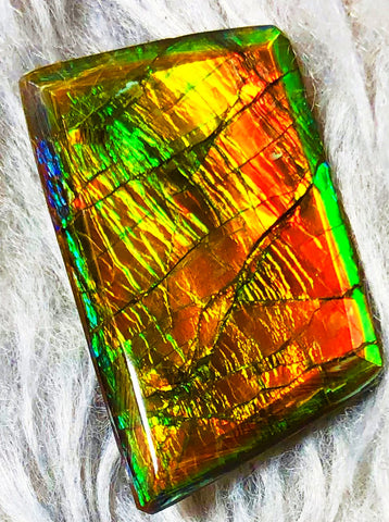 30 x 18 mm  Natural  Free Form . FFN 333 Ammolite  ナチュラル　ルース　アンモライト フリーフォーム