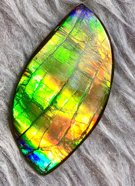 39  x 20 mm  Natural Large  Free Form . FFN 330 Ammolite  ナチュラル　ルース　アンモライト フリーフォーム