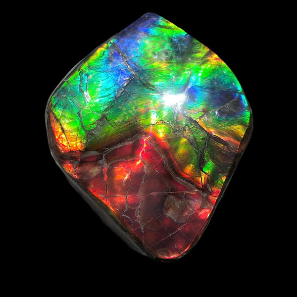 Make an offer or buy it now! 3.15”/  80x 62mm Top Grade Double-Sided Handheld Gem Specimen, Natural Freeform. FFNT 180 Ammolite  Free Shipping! ナチュラル　ルース　アンモライト 値下げ交渉！FREE SHIPPING!
