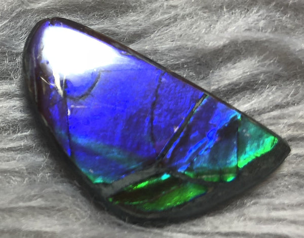 30 x 17 mm  Natural  Free Form . FFN 336 Ammolite  ナチュラル　ルース　アンモライト フリーフォーム