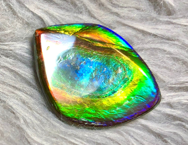 35  x 26 mm  Natural  Free Form . FFN 332 Ammolite  ナチュラル　ルース　アンモライト フリーフォーム
