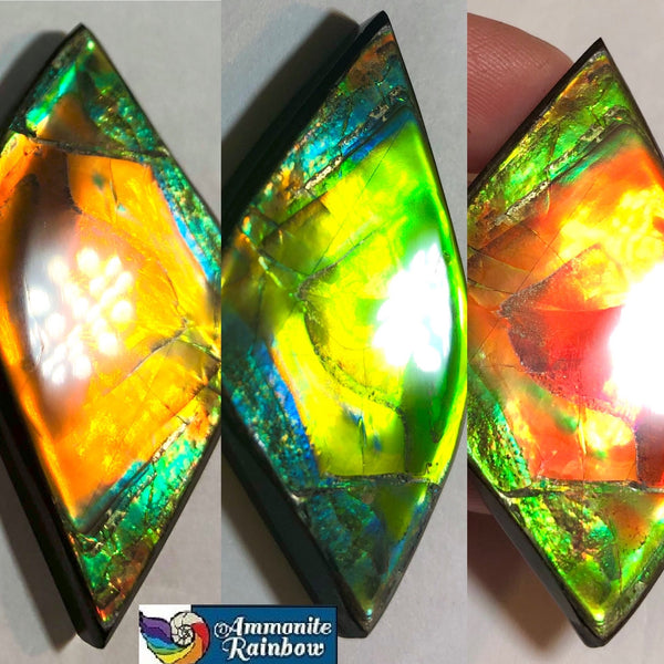 50x27.5mm  Color Changer! Natural  Free Form . FFNT 154 Ammolite  ナチュラル　ルース　アンモライト