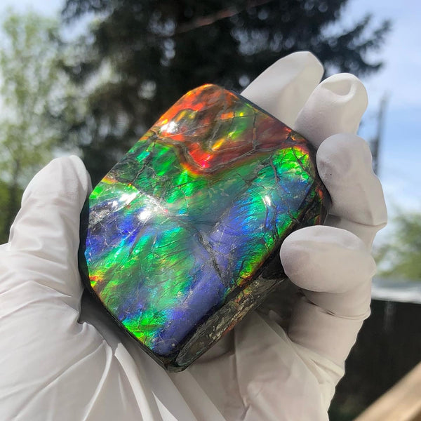 Make an offer or buy it now! 3.15”/  80x 62mm Top Grade Double-Sided Handheld Gem Specimen, Natural Freeform. FFNT 180 Ammolite  Free Shipping! ナチュラル　ルース　アンモライト 値下げ交渉！FREE SHIPPING!