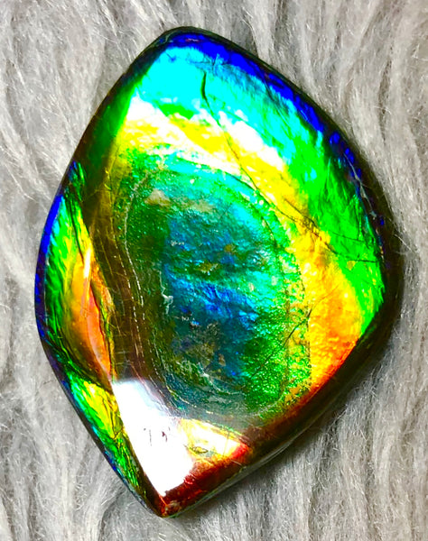 35  x 26 mm  Natural  Free Form . FFN 332 Ammolite  ナチュラル　ルース　アンモライト