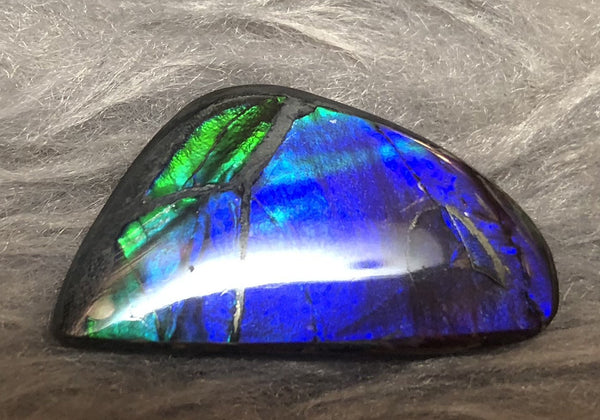 30 x 17 mm  Natural  Free Form . FFN 336 Ammolite  ナチュラル　ルース　アンモライト フリーフォーム