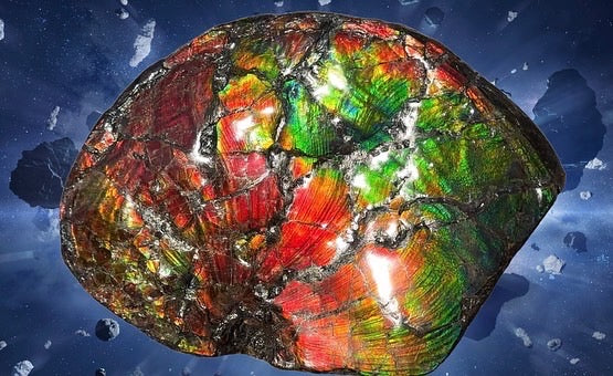 AF-87  Ammonite Fossil - Placenticeras Meeki　Ammolite **FREE SHIPPING***　