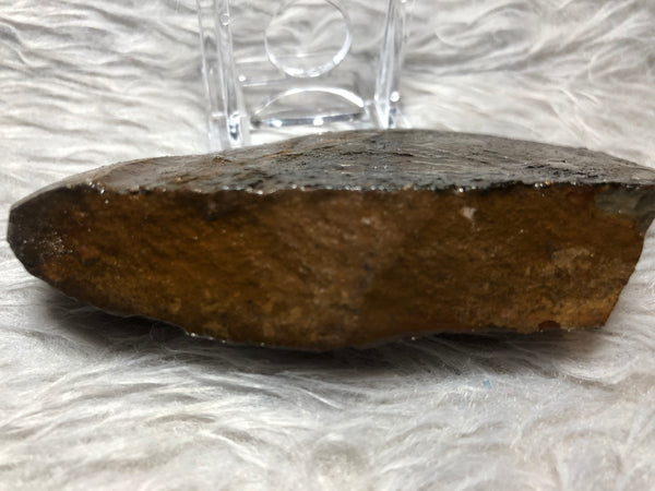 109mm x 54mm - RS-11 Rough Stone Ammlite アンモライト　原石　ラフ