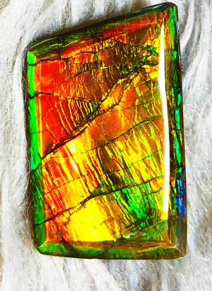 30 x 18 mm  Natural  Free Form . FFN 333 Ammolite  ナチュラル　ルース　アンモライト フリーフォーム