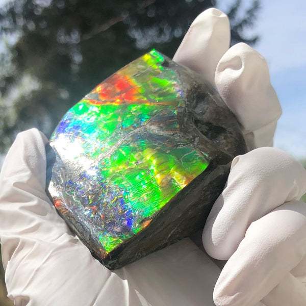 Make an offer or buy it now! 3.15”/  80x 62mm Top Grade Double-Sided Handheld Gem Specimen, Natural Freeform. FFNT 180 Ammolite  Free Shipping! ナチュラル　ルース　アンモライト 値下げ交渉！FREE SHIPPING!
