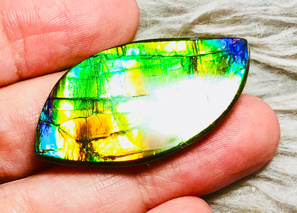 39  x 20 mm  Natural Large  Free Form . FFN 330 Ammolite  ナチュラル　ルース　アンモライト フリーフォーム