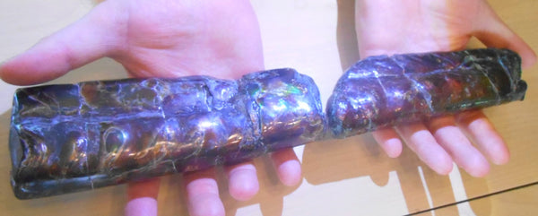 Bacculite Fossil　　バキュライト　アンモライト化　サウスダコタ