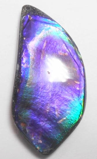 43 x 22 mm  Natural  Free Form . FFN 311 Ammolite  ナチュラル　ルース　アンモライト フリーフォーム